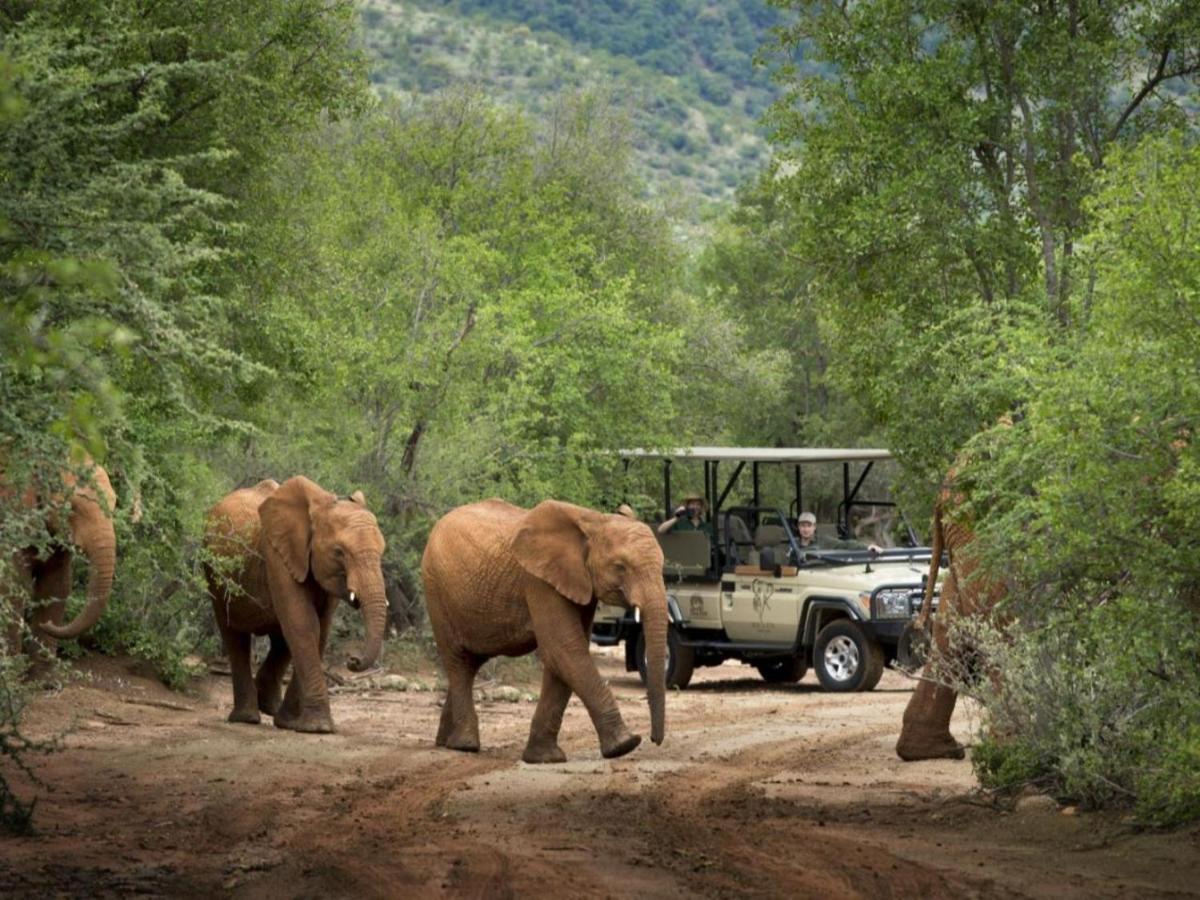 Villa Mbazo Safari Collection Pilanesberg Exterior foto